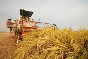 Chuyển đổi hệ thống thực phẩm c&oacute; thể tạo ra h&agrave;ng ngh&igrave;n tỉ đ&ocirc; la mỗi năm
