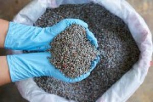 Gi&aacute; ph&acirc;n b&oacute;n h&ocirc;m 2/9: Lặng s&oacute;ng v&igrave; thị trường nghỉ lễ Quốc kh&aacute;nh