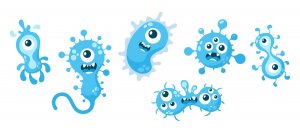&ldquo;Đời sống x&atilde; hội&rdquo; phức tạp của virus