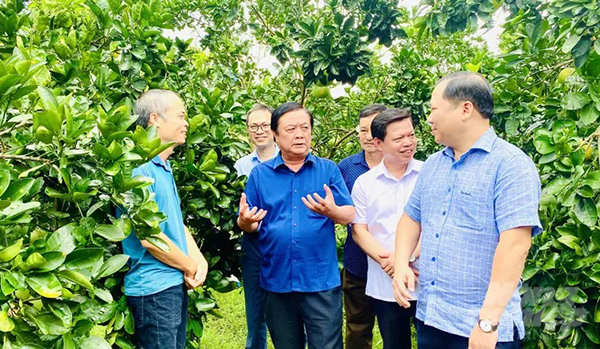 Kiến giải nghề l&agrave;m vườn: Từ mảnh đất quanh nh&agrave; đến kh&ocirc;ng gian gi&aacute; trị của thời đại