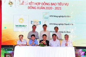 Hàng loạt ký kết tiêu thụ chuỗi giá trị lúa gạo dự án VnSAT