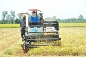 An Giang v&agrave; những c&aacute;nh đồng kh&ocirc;ng c&oacute; dấu ch&acirc;n người 