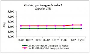 Thị trường l&uacute;a gạo từ 13-17/02/2017 