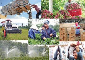 Ngành nông nghiệp vượt khó, duy trì đà tăng trưởng khá