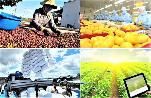 Ng&agrave;nh N&ocirc;ng nghiệp v&agrave; M&ocirc;i trường quyết liệt tạo xung lực mới để đạt mục ti&ecirc;u tăng trưởng