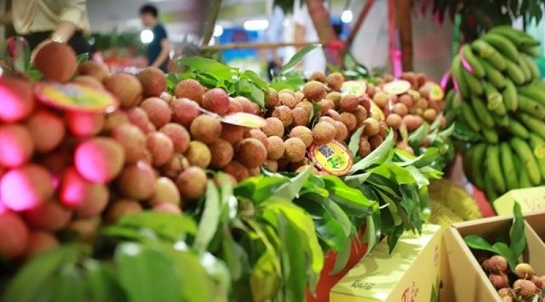 Ng&agrave;nh rau quả Việt Nam cần n&acirc;ng cao khả năng th&iacute;ch ứng d&agrave;i hạn để giữ nhịp tăng trưởng xuất khẩu