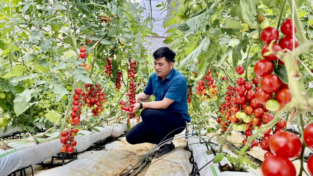 Nghị quyết 57-NQ/TW l&agrave; luồng gi&oacute; mới, tạo động lực, niềm tin cho c&aacute;c nh&agrave; khoa học