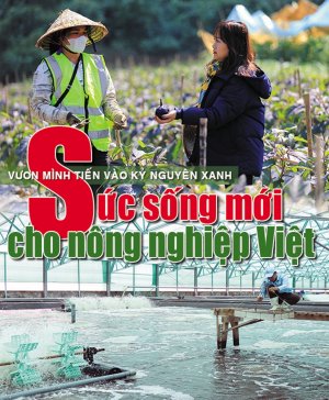 Vươn mình tiến vào Kỷ nguyên xanh: Sức sống mới cho nông nghiệp Việt