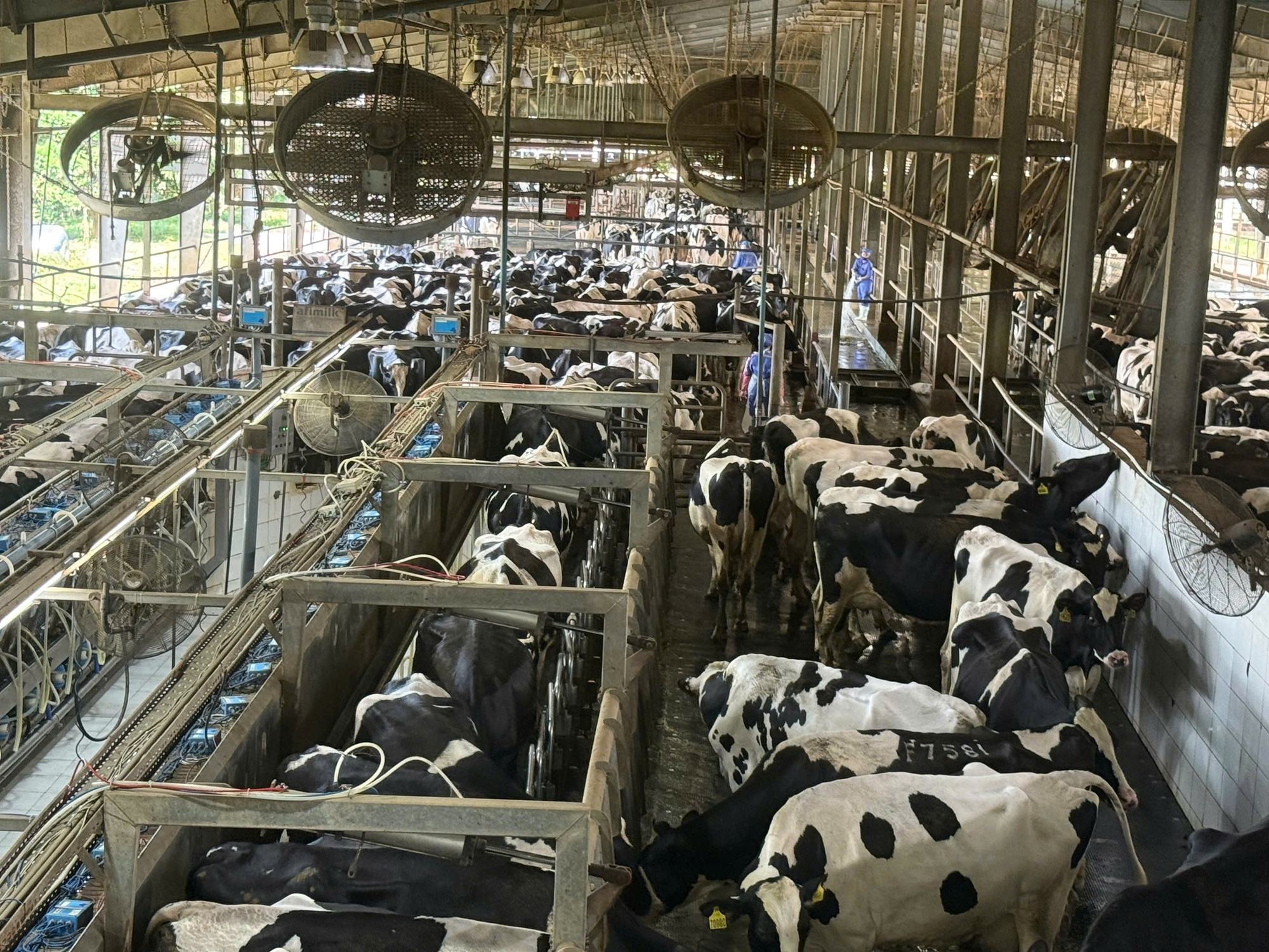 Nông nghiệp nâng giá trị sử dụng đất, hướng tới xuất khẩu 74 tỷ USD