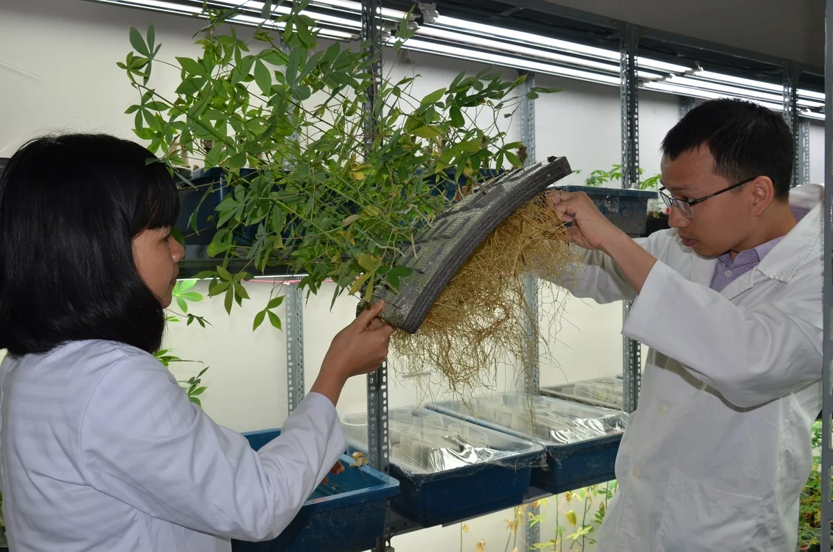 N&ocirc;ng nghiệp n&ecirc;n l&agrave; dịch vụ c&ocirc;ng như y tế, gi&aacute;o dục 