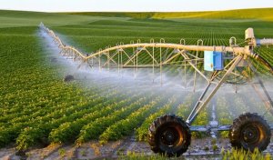 Đổi mới có trách nhiệm là chìa khóa của nông nghiệp thông minh