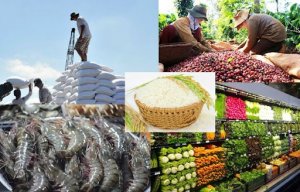 Thủ tướng Ch&iacute;nh phủ chỉ đạo th&uacute;c đẩy sản xuất, lưu th&ocirc;ng, XK n&ocirc;ng sản