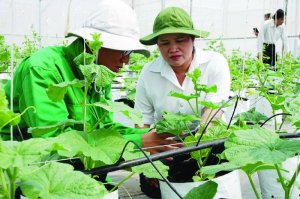 &ldquo;Xanh h&oacute;a&rdquo; ng&agrave;nh n&ocirc;ng l&acirc;m, ngư nghiệp để g&oacute;p phần hiện thực h&oacute;a cam kết netzero
