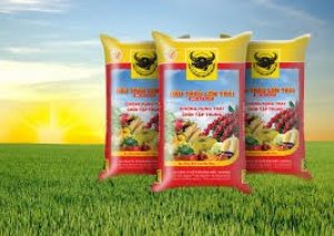 Nhập khẩu ph&acirc;n b&oacute;n từ Trung Quốc 11 th&aacute;ng năm 2021 tăng 51%