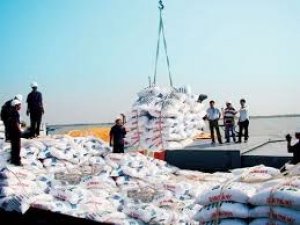 Xuất khẩu ph&acirc;n b&oacute;n tăng cả gi&aacute;, lượng v&agrave; kim ngạch