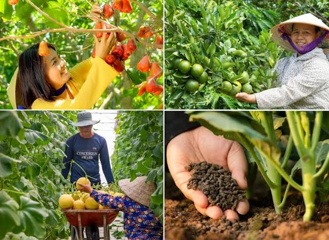 Phương hướng, quan điểm, nhiệm vụ v&agrave; giải ph&aacute;p ph&aacute;t triển n&ocirc;ng nghiệp sinh th&aacute;i, xanh, tuần ho&agrave;n trong giai đoạn mới