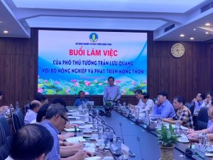 Ph&aacute;t triển bền vững 1 triệu ha l&uacute;a chất lượng cao gắn với tăng trưởng xanh 