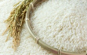L&uacute;a gạo Ch&acirc;u &Aacute;: Gi&aacute; tăng d&ugrave; nhu cầu thấp