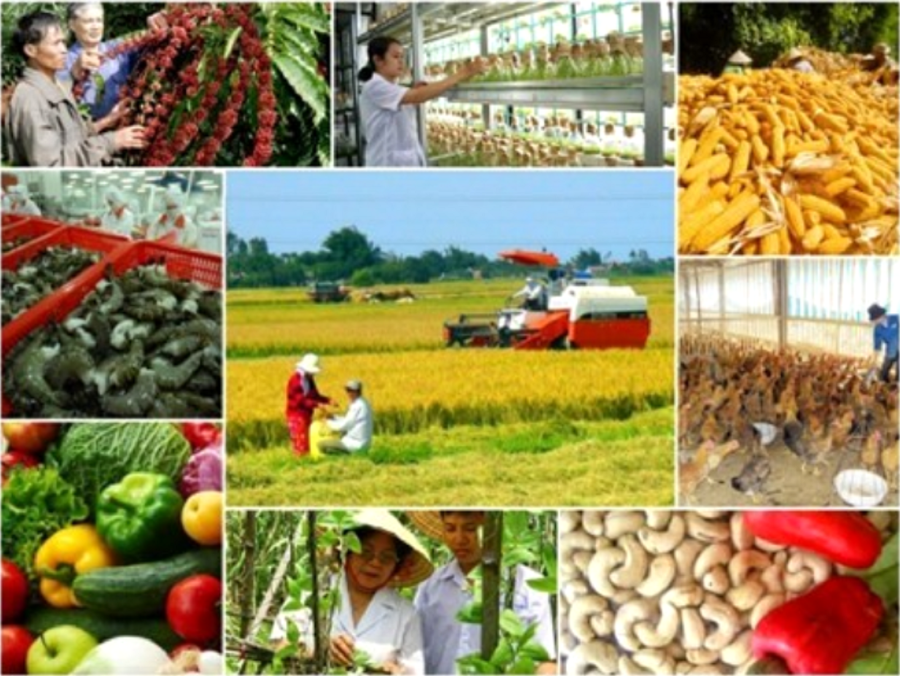 Sản xuất n&ocirc;ng nghiệp năm 2025 tăng trưởng bứt ph&aacute;, ấn tượng n&ocirc;ng l&acirc;m thủy sản