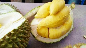 Phát hiện ra chất khiến trái sầu riêng có mùi nồng đặc trưng