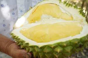 Lợi thế cạnh tranh của sầu ri&ecirc;ng Việt Nam với c&aacute;c nước tr&ecirc;n thế giới