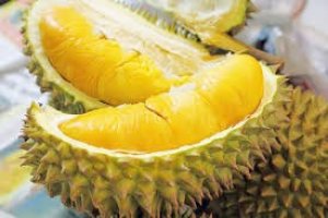 TT trái cây tuần qua: Giá sầu riêng giảm, ngược lại dứa và dừa khô tăng