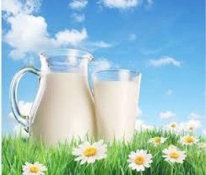 T&igrave;nh h&igrave;nh sản xuất, nhập khẩu v&agrave; triển vọng thị trường sữa Việt 