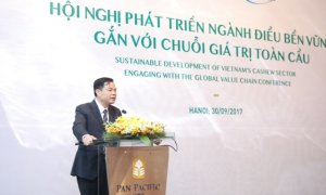 "Gỡ rối" ng&agrave;nh điều Việt Nam v&agrave; tham vọng 3 tỷ USD