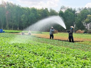 Thị trường rau quả hữu cơ: Giải ph&aacute;p khai th&aacute;c v&agrave; ph&aacute;t triển