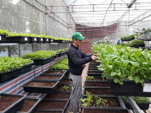 C&ugrave;ng nhau biến kh&aacute;t vọng th&agrave;nh hiện thực