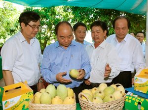 Tư duy kinh tế n&ocirc;ng nghiệp: Điểm s&aacute;ng Đồng Th&aacute;p