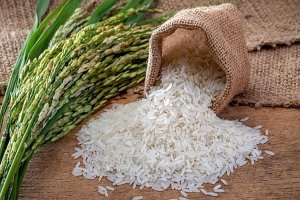 Thị trường l&uacute;a gạo ng&agrave;y 15/4: Gi&aacute; l&uacute;a tăng