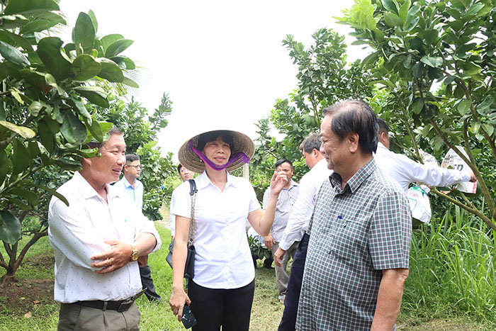 T&aacute;i định nghĩa sứ mạng ng&agrave;nh trồng trọt: Từ l&agrave;m ra nhiều n&ocirc;ng sản đến kiến tạo nhiều gi&aacute; trị