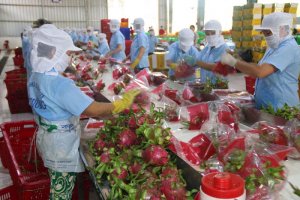 Bộ trưởng L&ecirc; Minh Hoan: Kh&ocirc;i phục sản xuất sau gi&atilde;n c&aacute;ch, c&aacute;c tỉnh kh&ocirc;ng thể tư duy cho ri&ecirc;ng m&igrave;nh