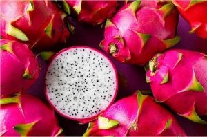 Nghi&ecirc;n cứu ảnh hưởng ph&acirc;n kali đến m&agrave;u sắc v&agrave; phẩm chất quả thanh long ruột trắng