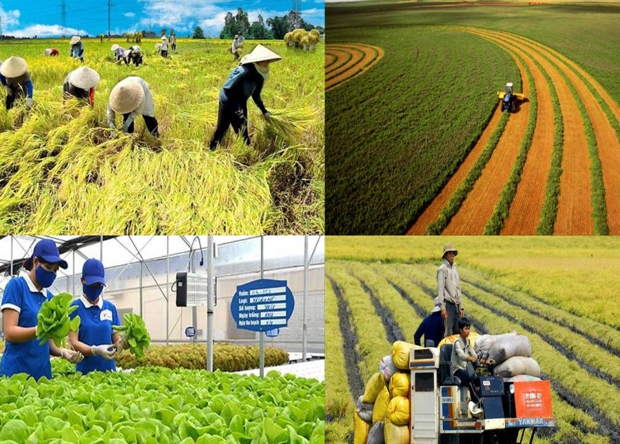 Th&aacute;o &ldquo;n&uacute;t thắt&rdquo; t&iacute;n dụng xanh để th&uacute;c đẩy n&ocirc;ng nghiệp bền vững