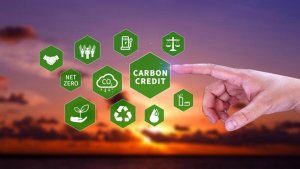 Các giải pháp cốt lõi phát triển, vận hành thị trường carbon Việt Nam