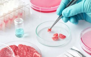 Thịt nu&ocirc;i cấy trong ph&ograve;ng th&iacute; nghiệm liệu c&oacute; thể thay thế 