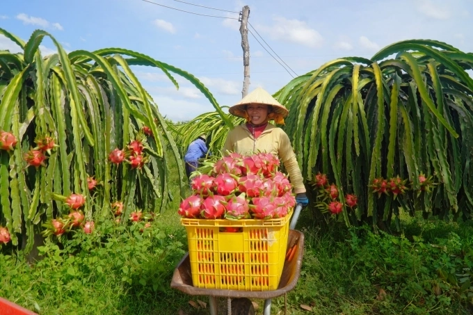 Thời của những giấc mơ n&ocirc;ng nghiệp lớn