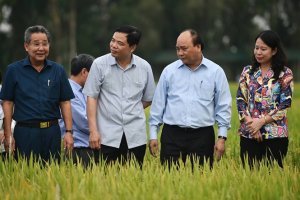 T&aacute;i cơ cấu ng&agrave;nh N&ocirc;ng nghiệp: Những bước chuyển mạnh mẽ
