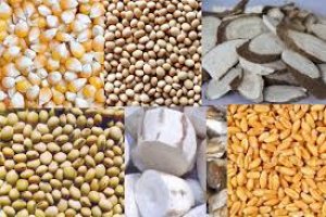 Thị trường TĂCN thế giới ngày 30/3/2020: Giá lúa mì tăng do lo ngại nguồn cung