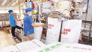Cho&aacute;ng v&aacute;ng với gi&aacute; thức ăn chăn nu&ocirc;i tăng phi m&atilde;