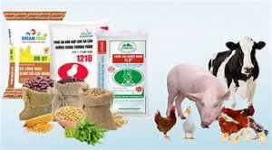 Xuất khẩu thức ăn gia s&uacute;c sang c&aacute;c thị trường 4 th&aacute;ng đầu năm 2023 