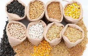 Xuất khẩu thức ăn gia s&uacute;c 2 th&aacute;ng đầu năm 2023 đạt tr&ecirc;n 129,4 triệu USD