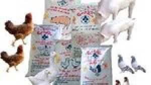 Xuất khẩu thức ăn gia s&uacute;c 4 th&aacute;ng đầu năm 2021 sang Trung Quốc tăng 117%