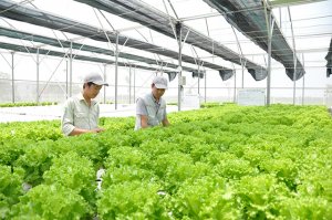 Ph&aacute;t triển nguồn nh&acirc;n lực NN 4.0: Y&ecirc;u cầu cấp b&aacute;ch
