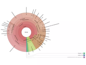 Giải tr&igrave;nh tự hệ vi sinh m&ocirc;i trường kh&ocirc;ng cần nu&ocirc;i cấy: Sức mạnh của Metagenomics
