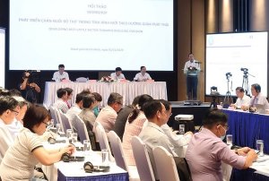Ph&aacute;t triển chăn nu&ocirc;i b&ograve; thịt theo hướng giảm ph&aacute;t thải