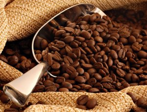 Nhóm n&ocirc;ng sản xu&acirc;́t kh&acirc;̉u chủ ch&ocirc;́t của VN đ&ocirc;̀ng loạt trượt giá tr&ecirc;n thị trường th&ecirc;́ giới