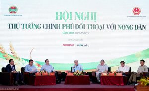 X&acirc;y dựng chuỗi gi&aacute; trị n&ocirc;ng sản bền vững